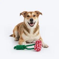 HUFT Cherrylicious Rope Toy For Dog - Multicolor