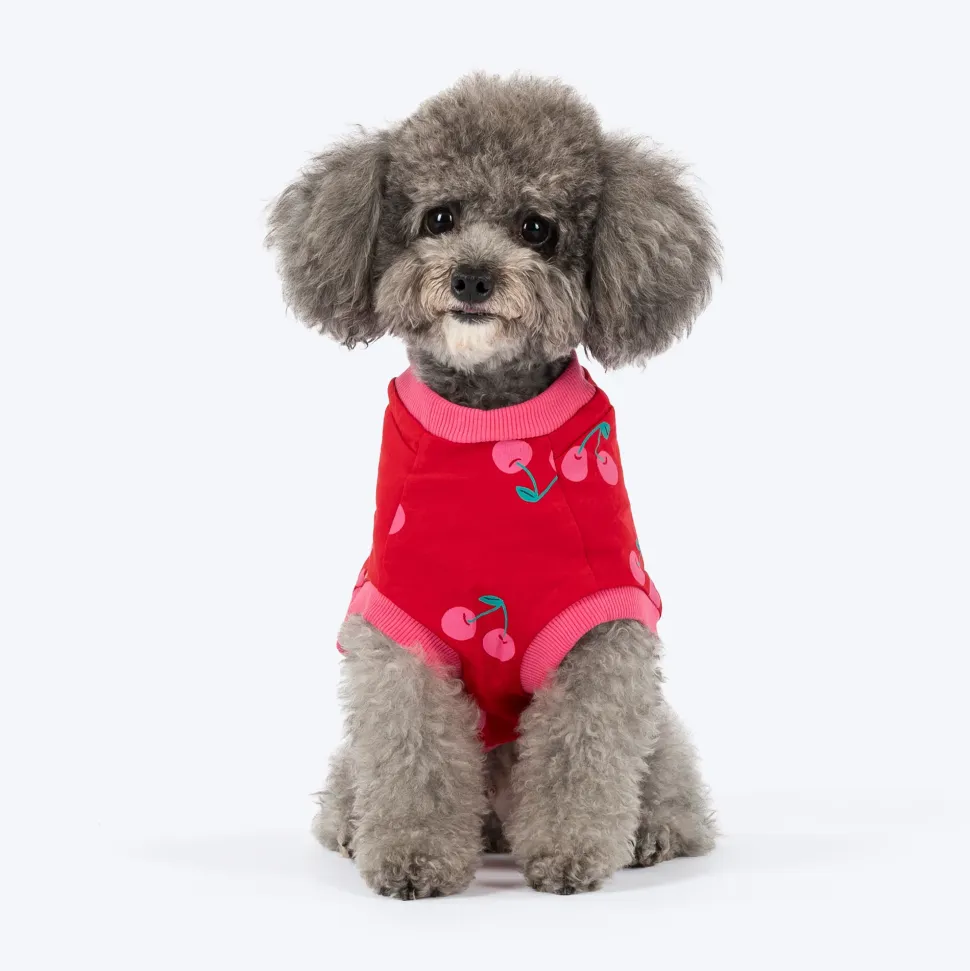 HUFT Cherry Pop Printed T-Shirt For Dog - Red