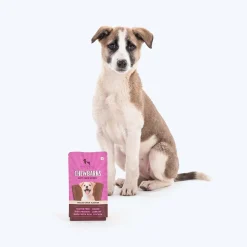 HUFT Chewbarks Dog Soft Chew Strips Treats - Grilled Duck - 30 gm