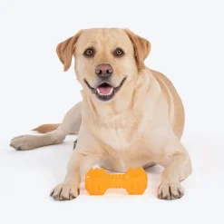 HUFT Chew Champ Toy For Dog