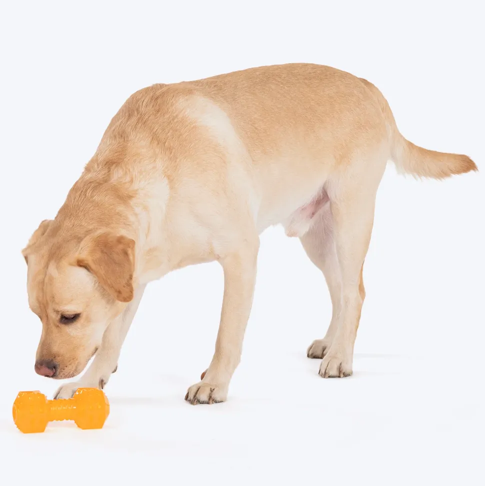 HUFT Chew Champ Toy For Dog