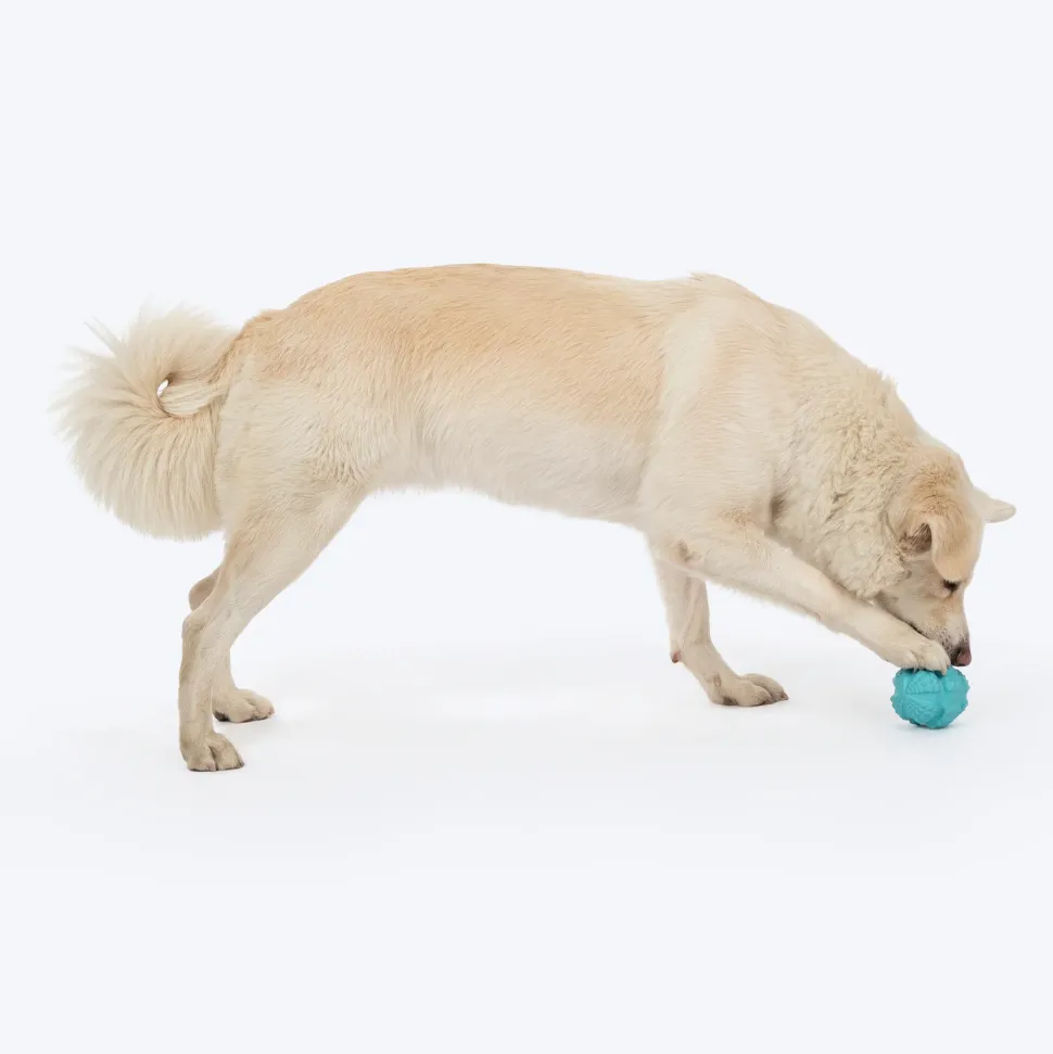 HUFT Chewtastic Balloon Chew Toy For Dog - Blue