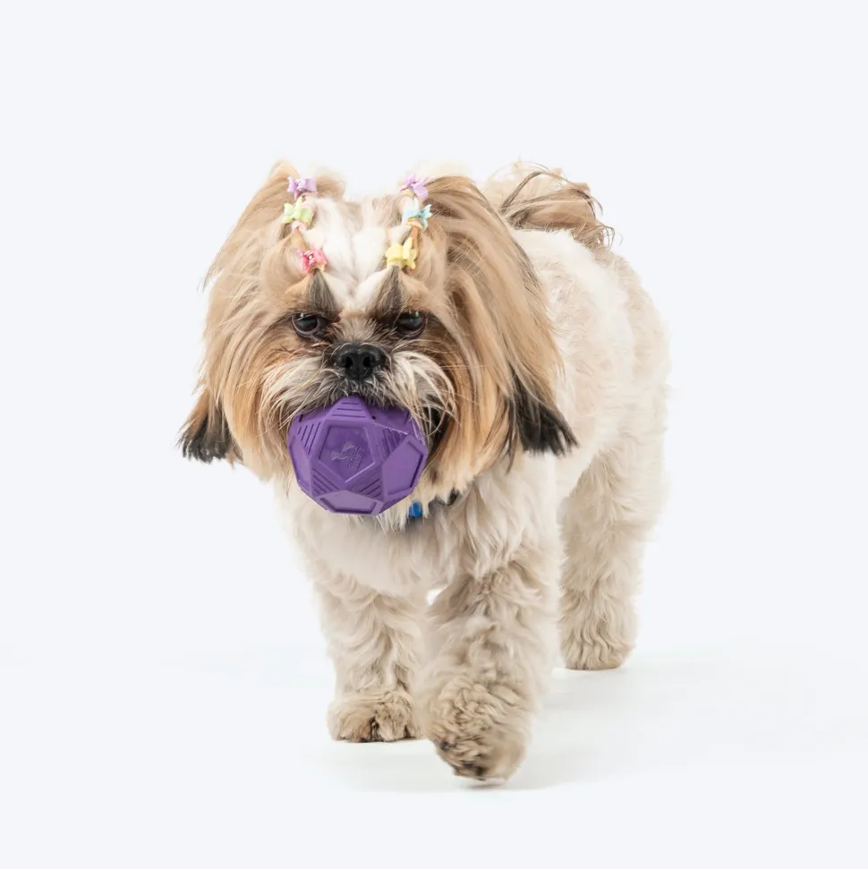 HUFT Chewtastic Bounce & Treat Ball Chew Toy For Dog - Purple