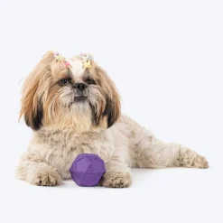 HUFT Chewtastic Bounce & Treat Ball Chew Toy For Dog - Purple
