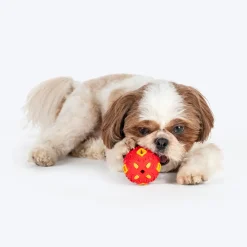 HUFT Chewtastic Eggs-Tra Chew Toy For Dog - Red & Yellow