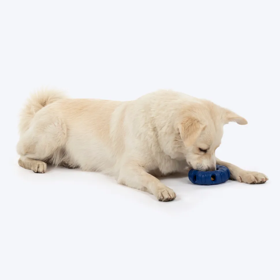 HUFT Chewtastic Roll-A-Tyre Chew Toy For Dog - Blue