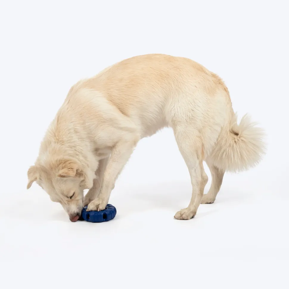 HUFT Chewtastic Roll-A-Tyre Chew Toy For Dog - Blue
