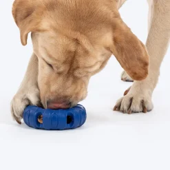 HUFT Chewtastic Roll-A-Tyre Chew Toy For Dog - Blue