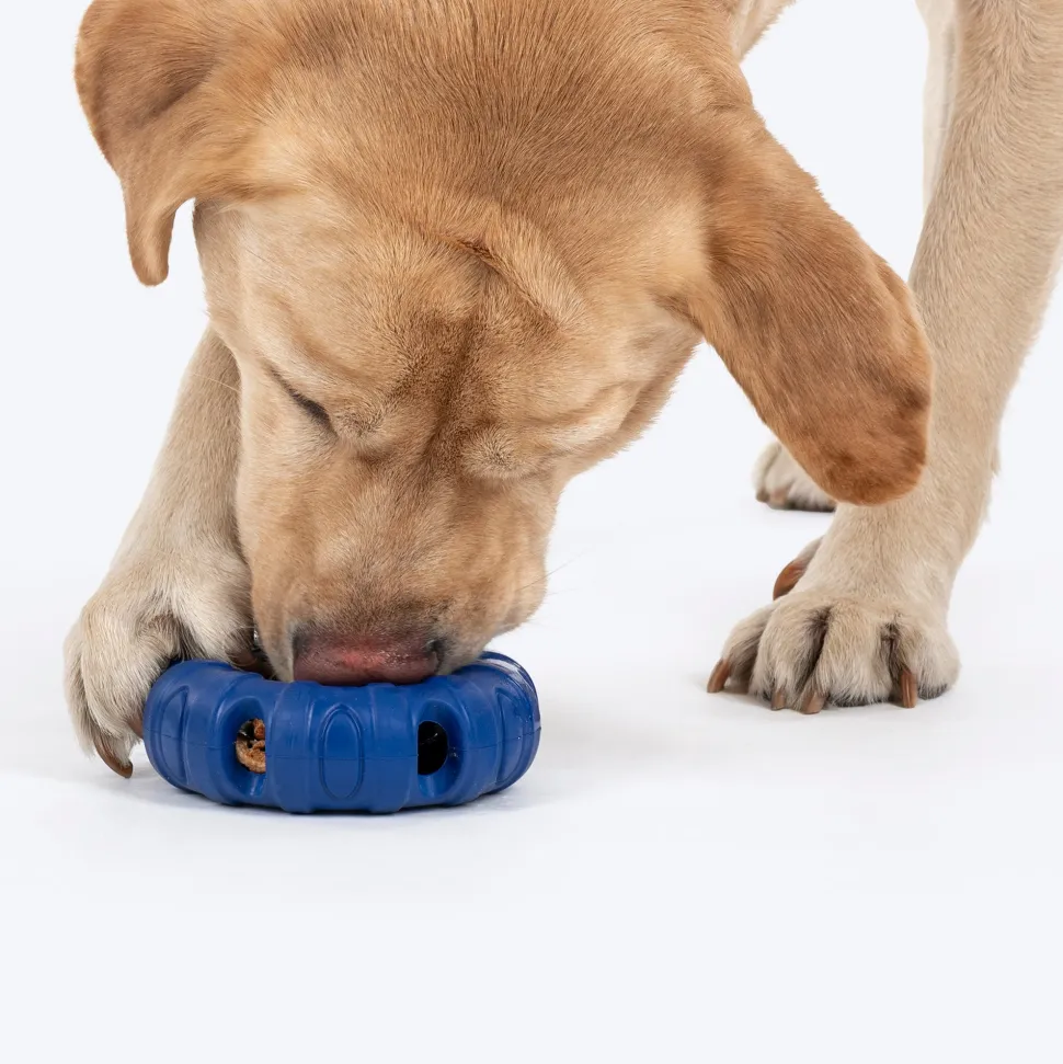 HUFT Chewtastic Roll-A-Tyre Chew Toy For Dog - Blue