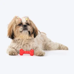 HUFT Chewtastic Snack Stick Chew Toy For Dog - Red