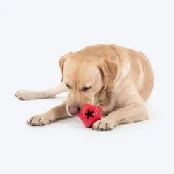 HUFT Chewtastic Treat Tumbler Chew Toy For Dog - Red