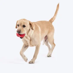 HUFT Chewtastic Treat Tumbler Chew Toy For Dog - Red