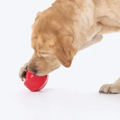 HUFT Chewtastic Treat Tumbler Chew Toy For Dog - Red