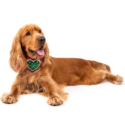 HUFT Christmas Darling Dog Collar Insert (Red and Green)
