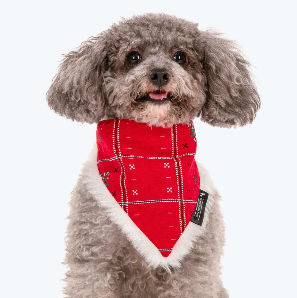 HUFT Christmas Santa's Beard And Cane Bandana For Dog & Cat