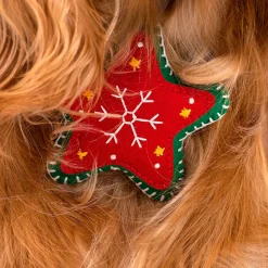 HUFT Christmas Starstruck Dog Collar Insert (Red and Green)
