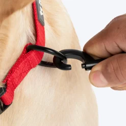 HUFT Classic Collar For Dog - Cherry Red