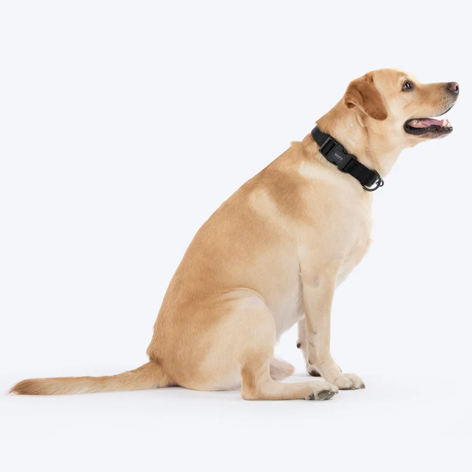 HUFT Classic Collar For Dog - Coal Black