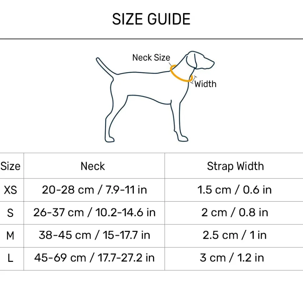 HUFT Classic Collar For Dog - Coal Black