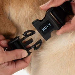 HUFT Classic Collar For Dog - Coal Black