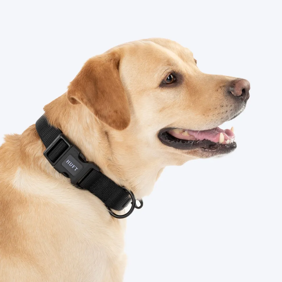 HUFT Classic Collar For Dog - Coal Black