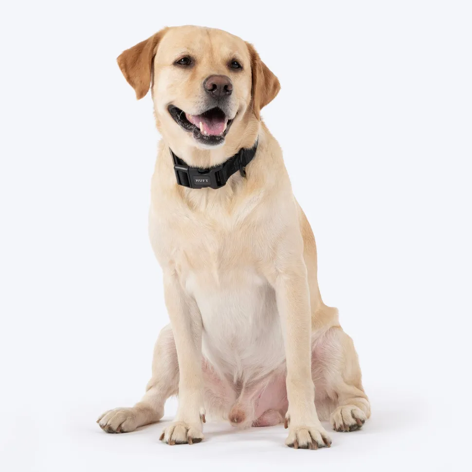 HUFT Classic Collar For Dog - Coal Black