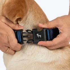 HUFT Classic Collar For Dog - Navy