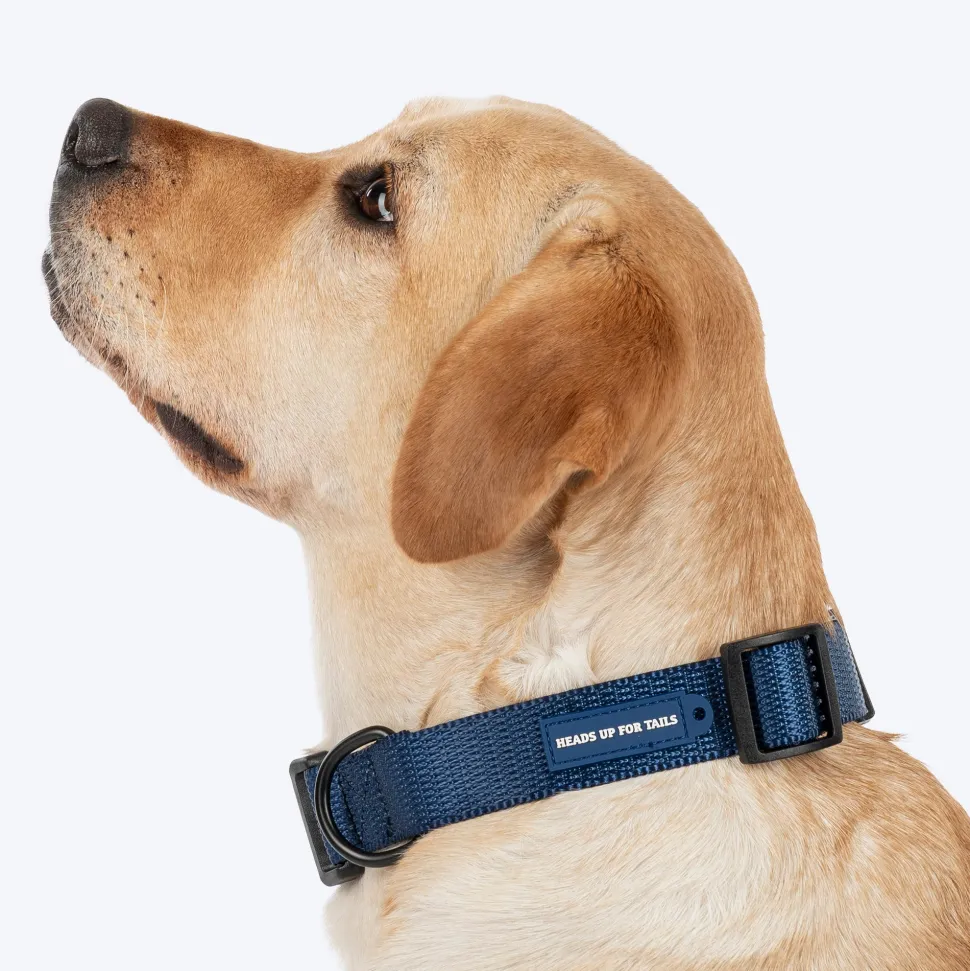 HUFT Classic Collar For Dog - Navy