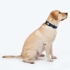 HUFT Classic Collar For Dog - Navy
