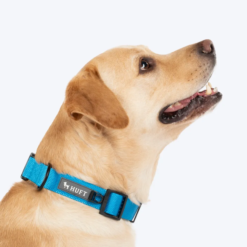 HUFT Classic Collar For Dog - Ocean Blue