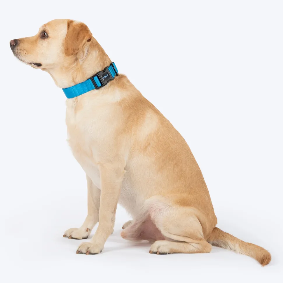HUFT Classic Collar For Dog - Ocean Blue
