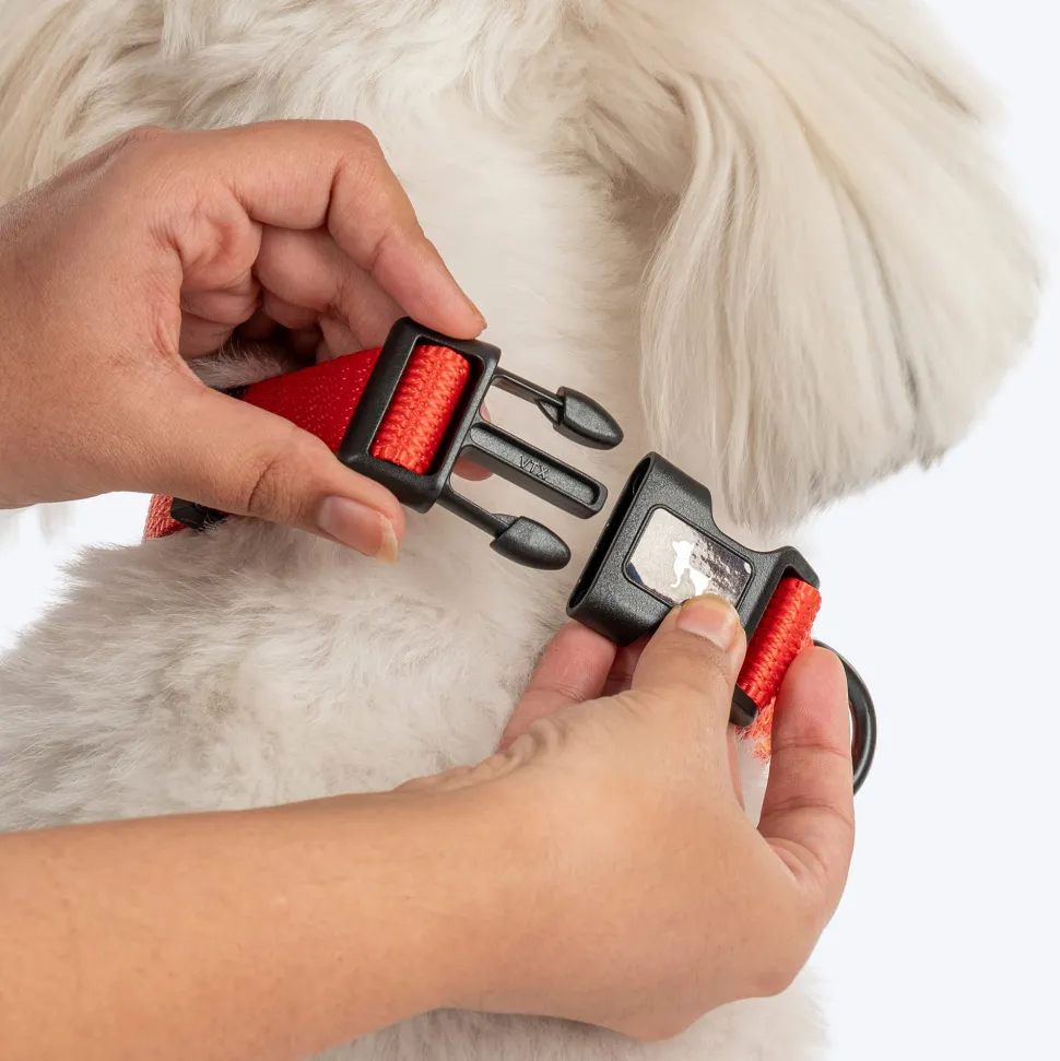 HUFT Classic Collar For Dog - Rust Orange