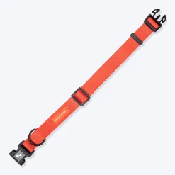 HUFT Classic Collar For Dog - Rust Orange