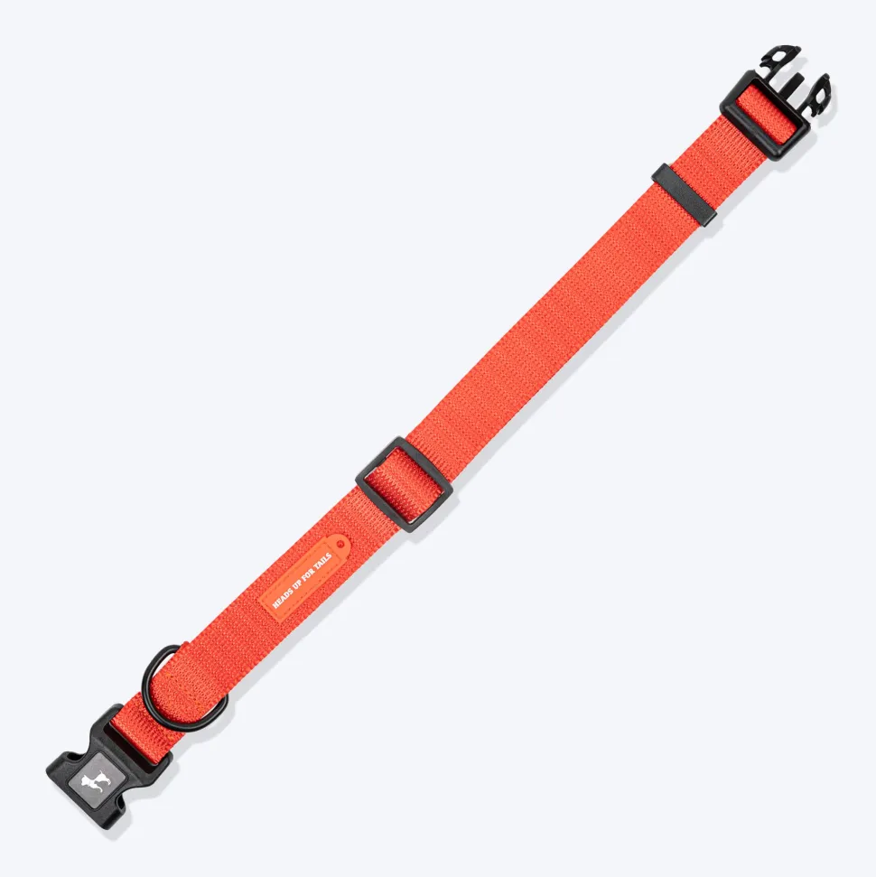 HUFT Classic Collar For Dog - Rust Orange