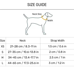 HUFT Classic Collar For Dog - Rust Orange
