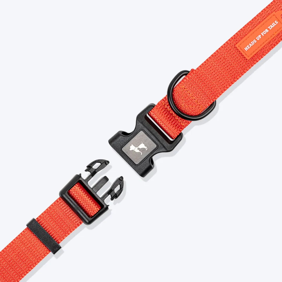 HUFT Classic Collar For Dog - Rust Orange