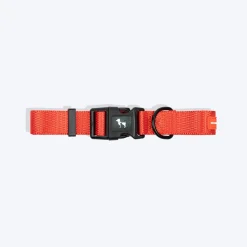 HUFT Classic Collar For Dog - Rust Orange