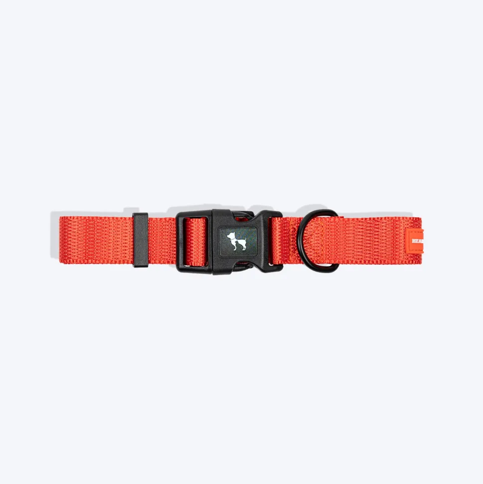 HUFT Classic Collar For Dog - Rust Orange