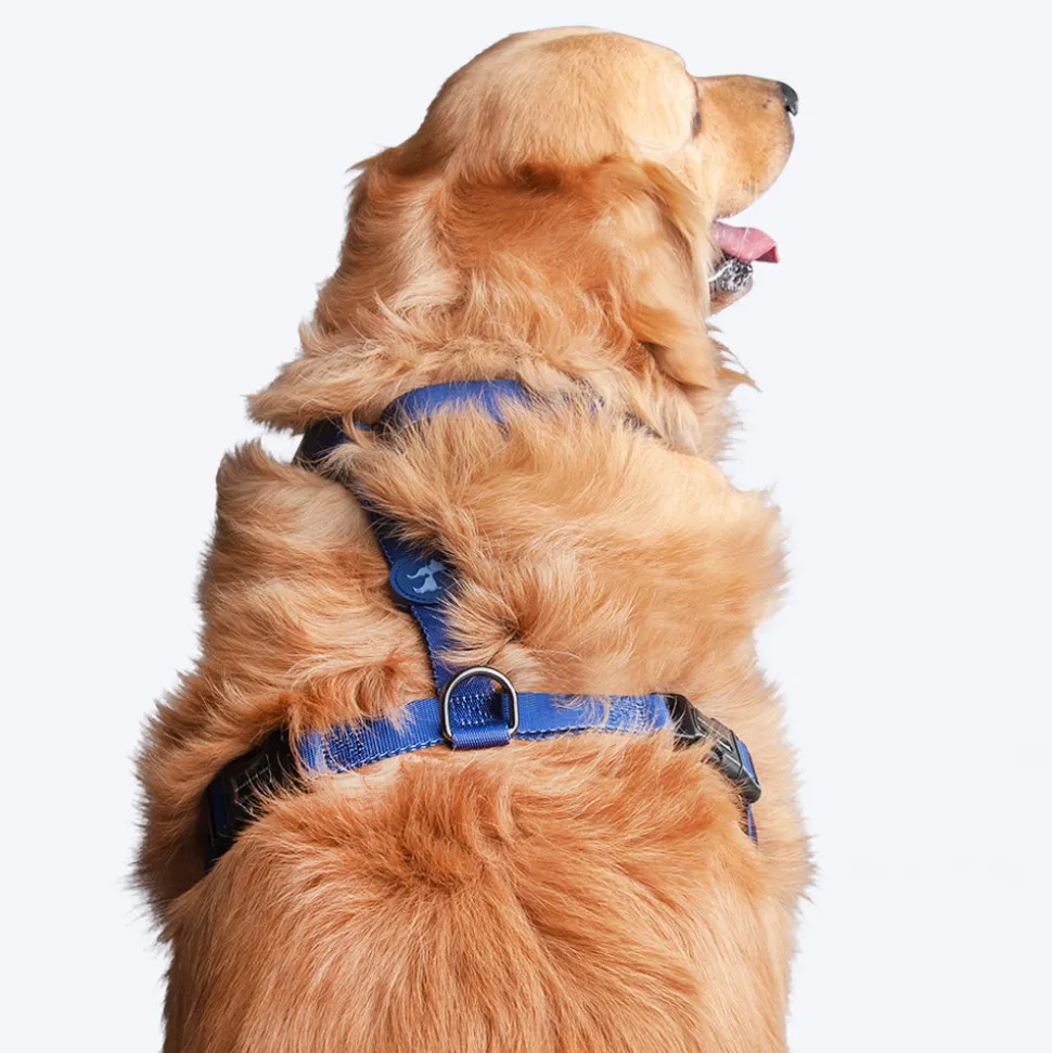 HUFT Classic Dog H-Harness - Navy