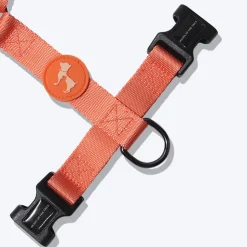 HUFT Classic Dog H Harness - Orange