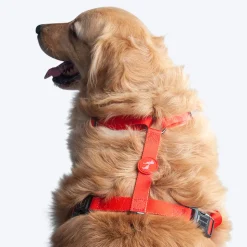 HUFT Classic Dog H Harness - Red