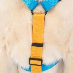 HUFT Classic H Harness For Dog - Ocean Blue