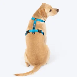 HUFT Classic H Harness For Dog - Ocean Blue