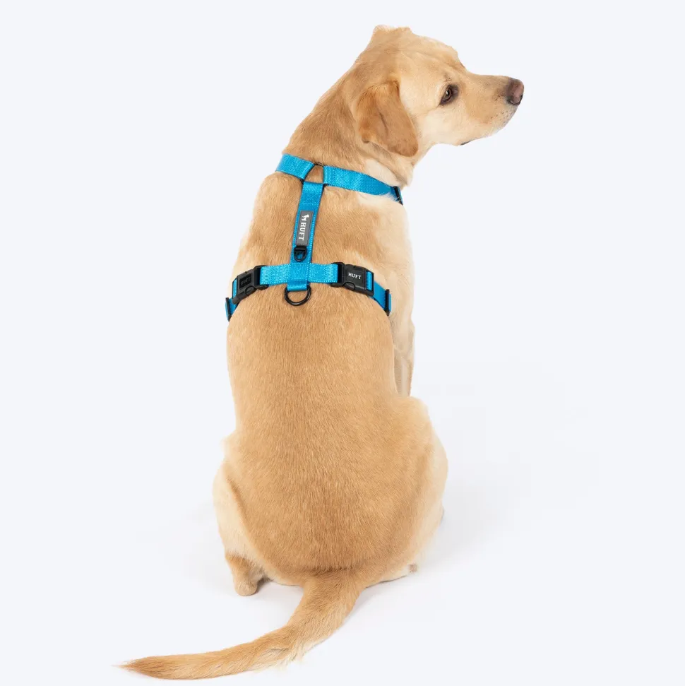 HUFT Classic H Harness For Dog - Ocean Blue