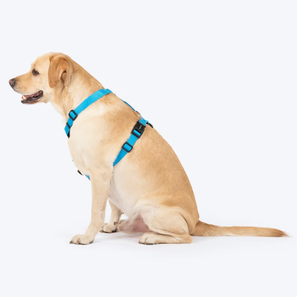 HUFT Classic H Harness For Dog - Ocean Blue