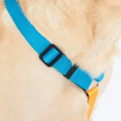 HUFT Classic H Harness For Dog - Ocean Blue