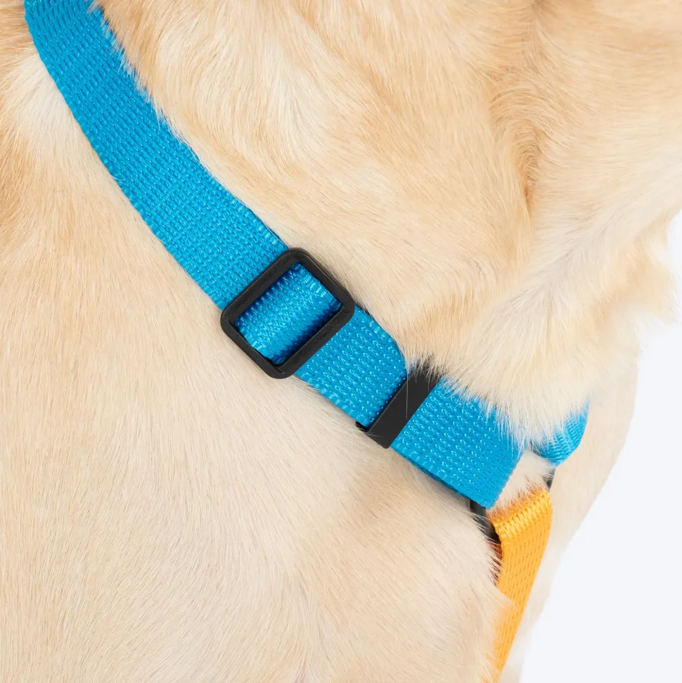 HUFT Classic H Harness For Dog - Ocean Blue