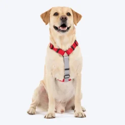 HUFT Classic H Harness For Dog - Cherry Red