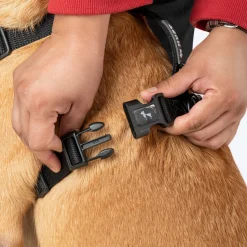 HUFT Classic H Harness For Dog - Coal Black