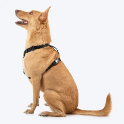 HUFT Classic H Harness For Dog - Coal Black